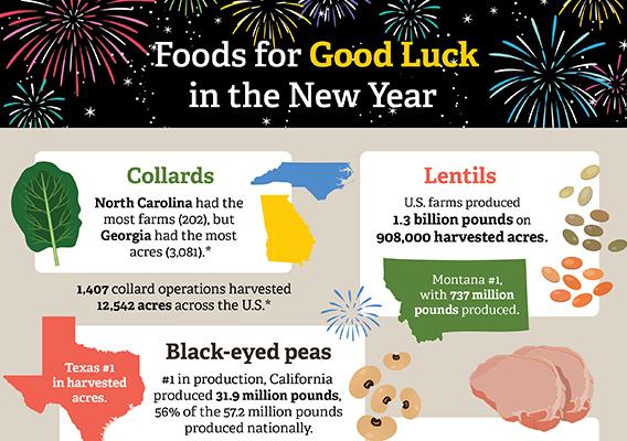 Foods for Good Luck in the New Year - Infographic