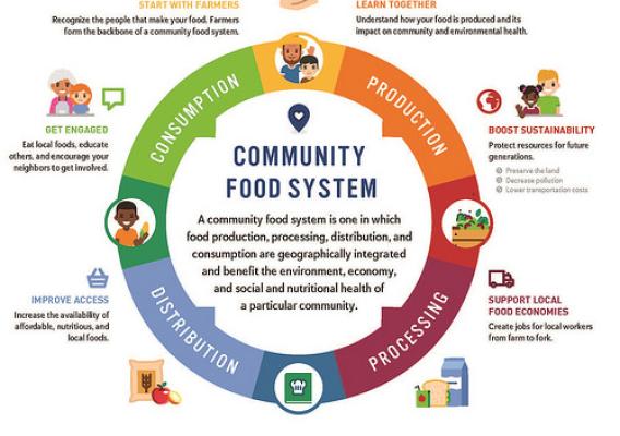 Community Food System infographic