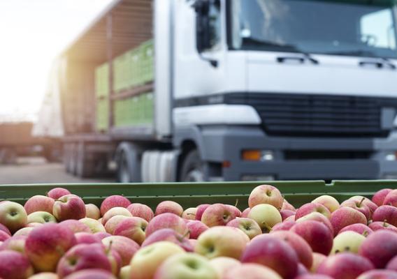 Truck with containers of apples and tray of apples in front of the truck