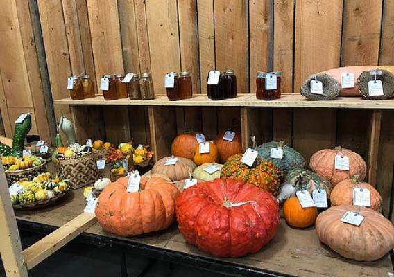 Sweet sourwood honey and a bevy of vibrant gourds and squash on display