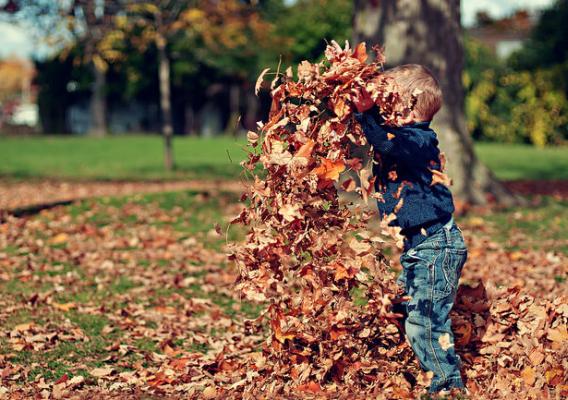 A boy playing in dry leaves