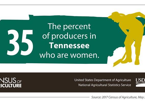 Census of Ag showing women producers in Tennessee graphic
