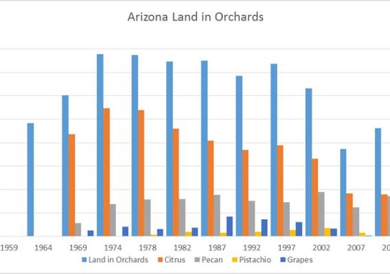 Arizona Land in Orchards graphic