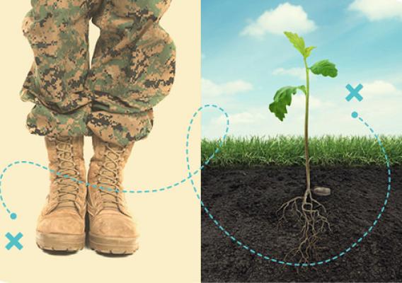 A graphic of a soldier's boots and a plant side-by-side