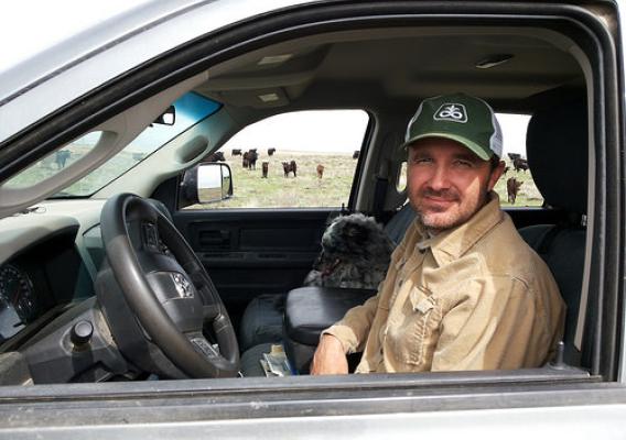 Jeremiah Liebl in his truck with cattle in the background