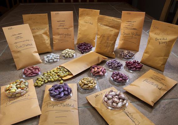 Packages of dry beans