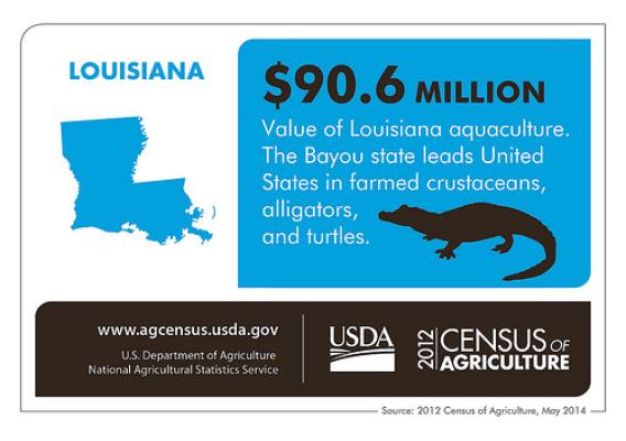 It’s not surprising, but the Bayou State leads the nation in several aquaculture categories.  Be sure to check back next week for more fun facts from the 2012 Census of Agriculture.