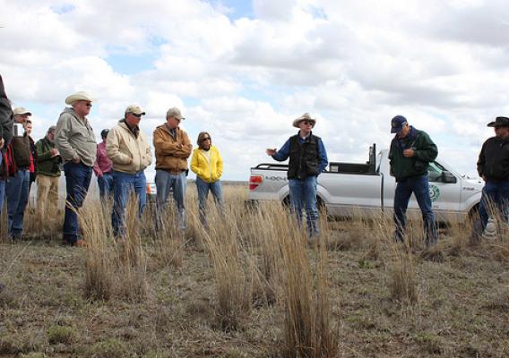 L.H. Webb, a rancher in Pampa, Texas, addresses the group at the training on his ranch to explain the management practices he has implemented to benefit the lesser prairie-chicken.