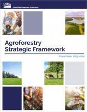 Agroforestry Strategic Framework cover graphic