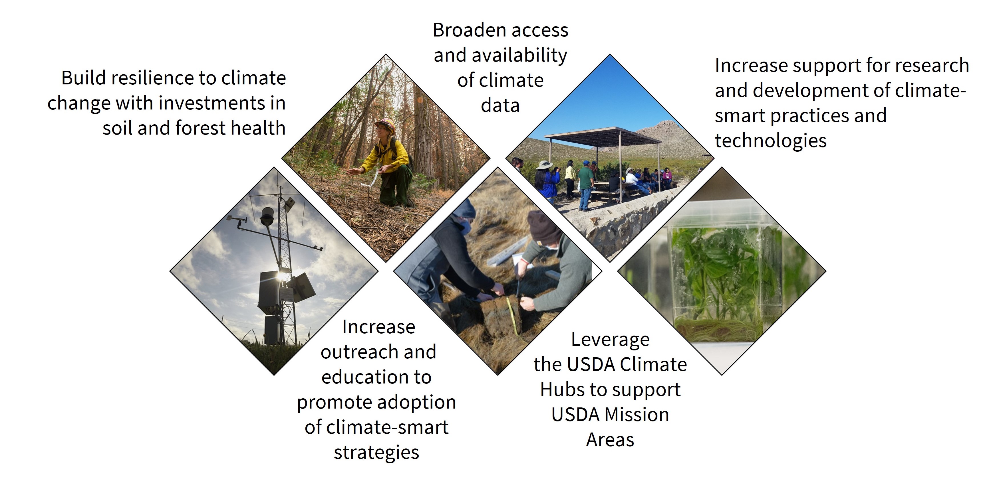 Climate Change Adaptation And USDA USDA