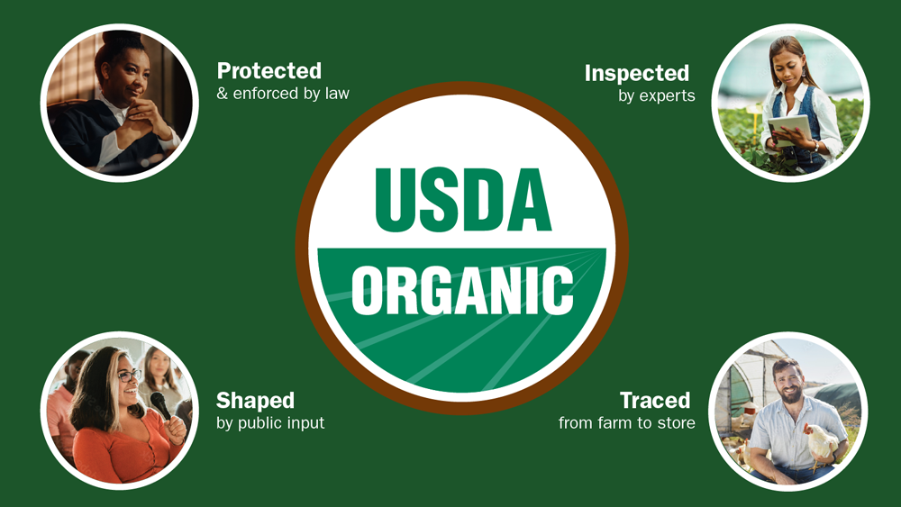 Graphic showing the USDA Organic seal with four icons describing the process of USDA Organic