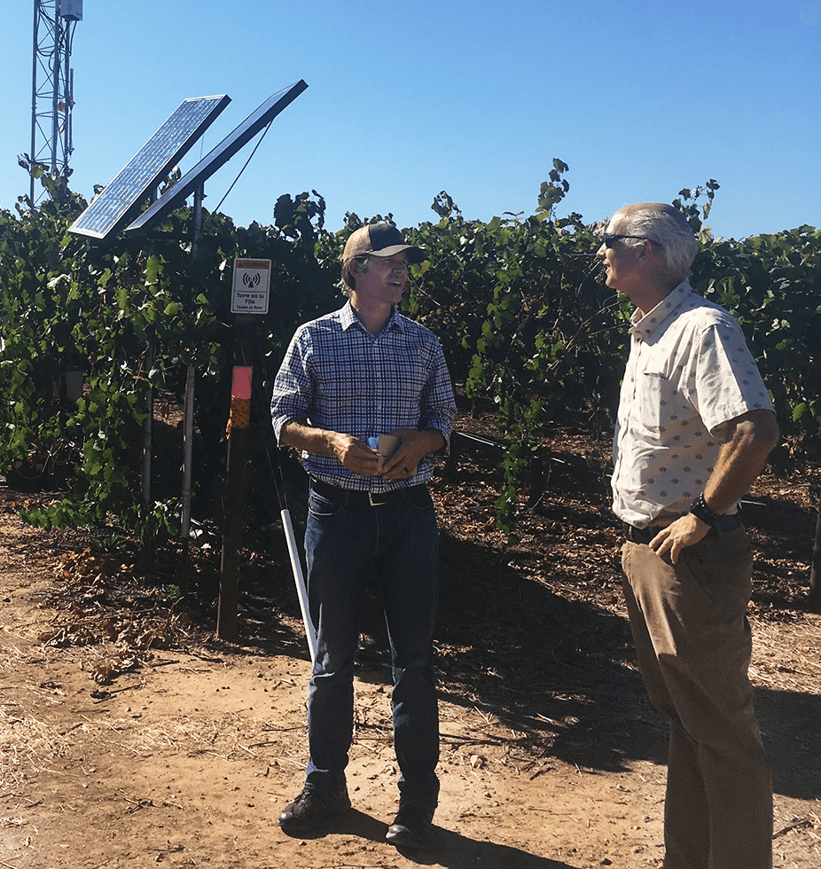 Agricultural Research Service scientists Andrew McElrone and David Knaebel stand in a California vineyard next to a solar powered monitor that maps water use to improve irrigation