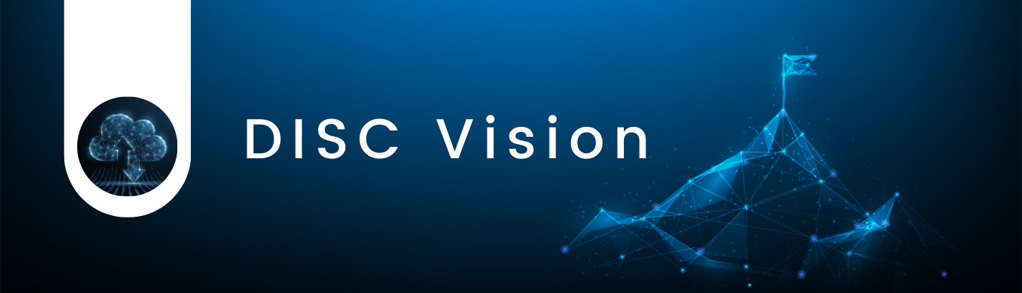 DISC Vision graphic