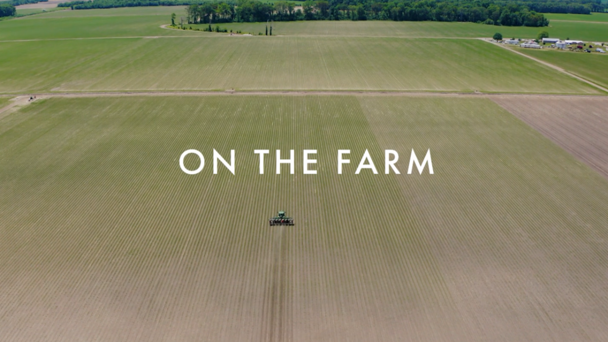 "On the Farm" text overlay onto a farm