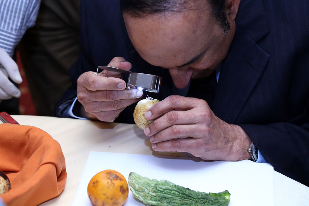 A person looking through a magnifying glass