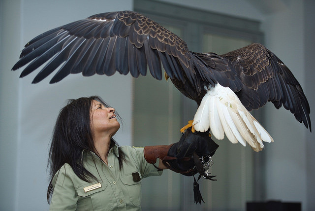 Former Eagle lives life on TV