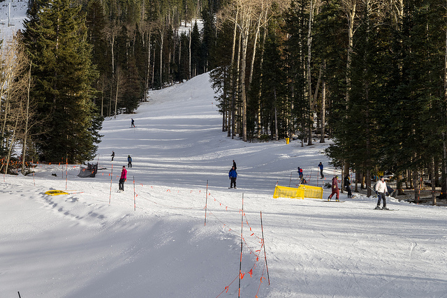 World-Class Winter Sports on Your National Forest | USDA