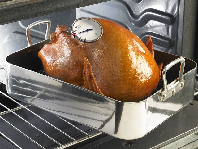 turkey probe temperature