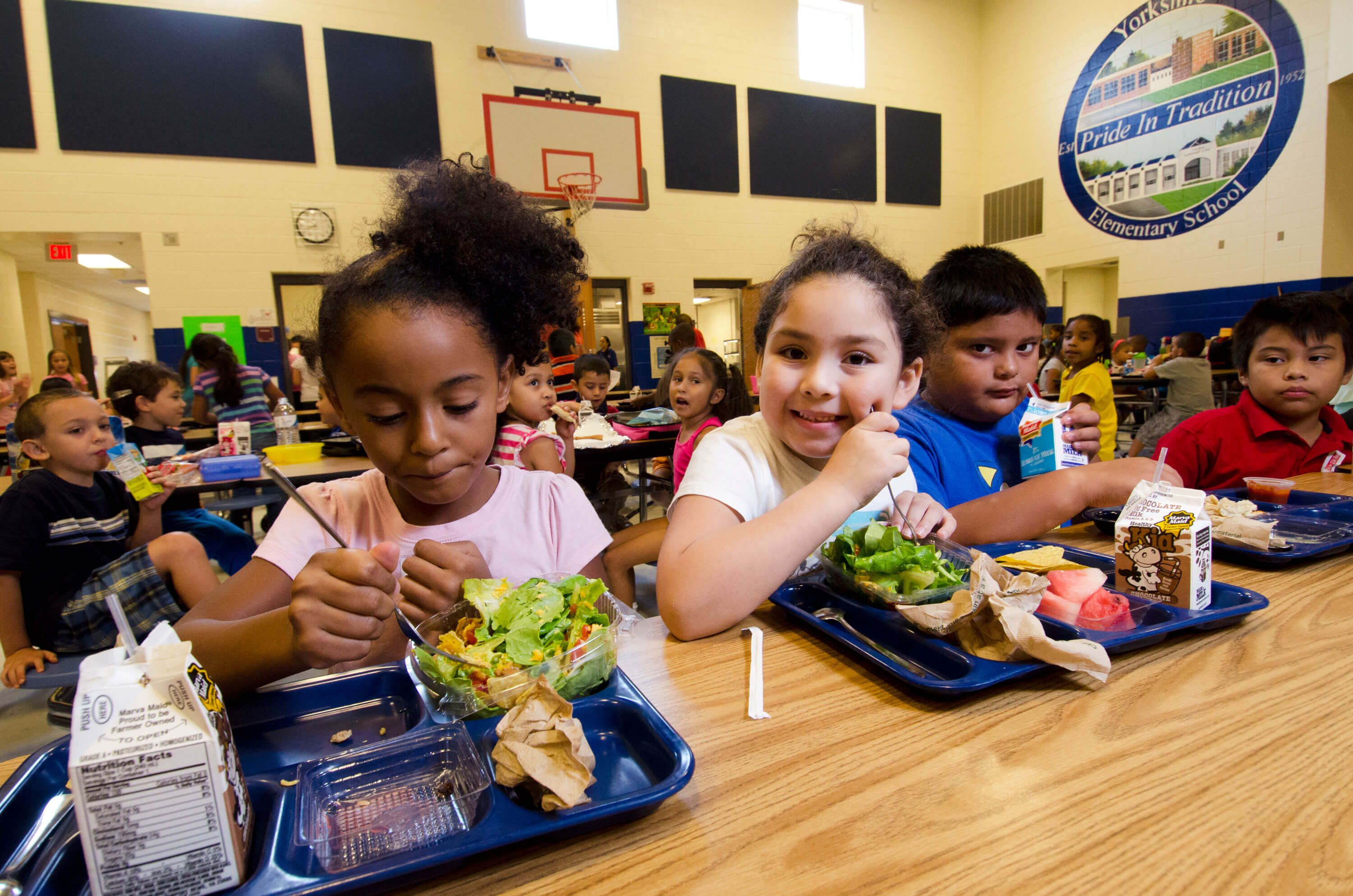 Four elementary school students eat lunch in a school cafeteria