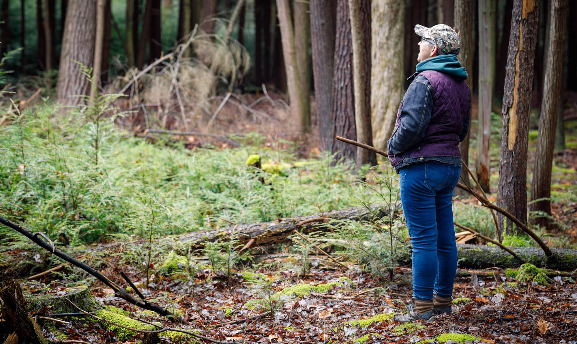 A person looking at a forest