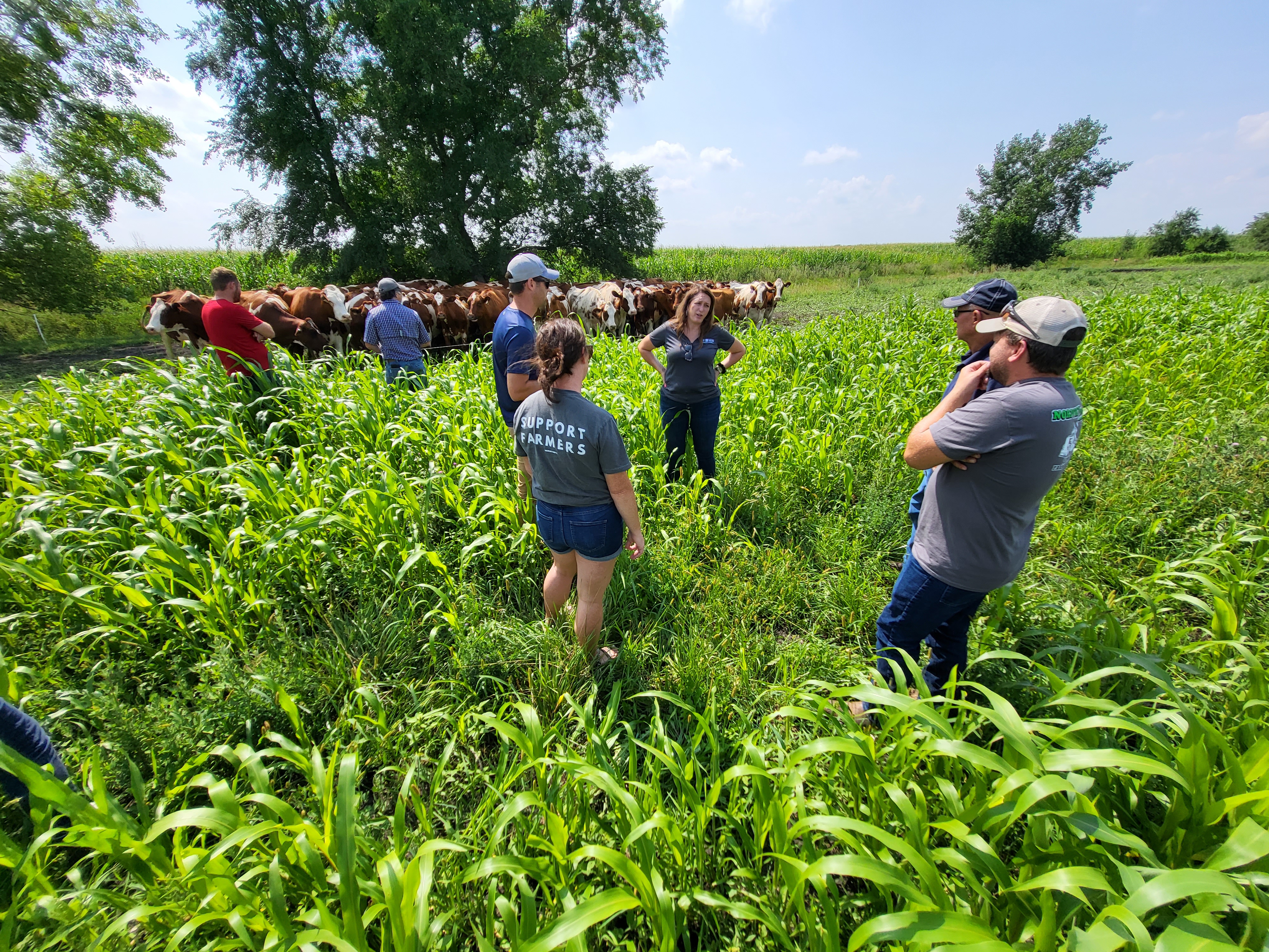 Dairy Grazing Apprenticeship participants