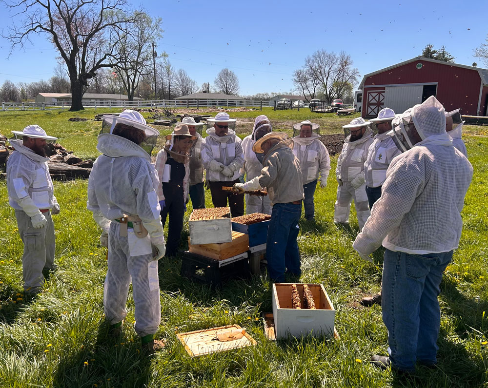 A group of people working with bees