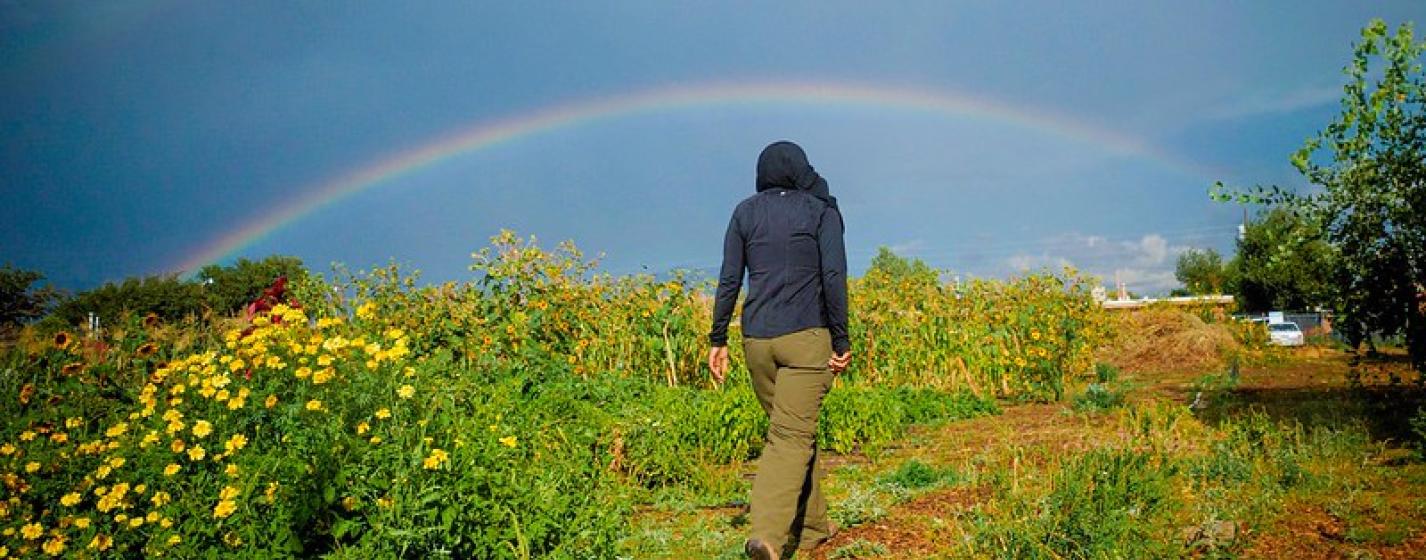 A person walking near flowers with a rainbow in the background