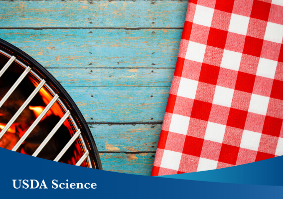 A picture of a grill and picnic tablecloth. An overlay of a blue banner with text that says “USDA Science.”