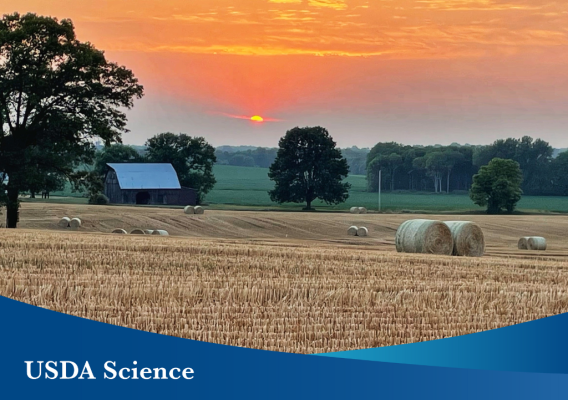 Photo of a sunset over farmland with hay bales scattered around in the field. A banner that reads “USDA Science” is overlayed across the bottom of the image