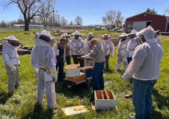 A group of people working with bees