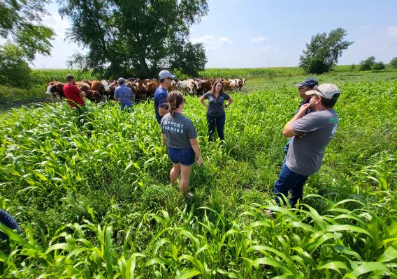 Dairy Grazing Apprenticeship (DGA) participants