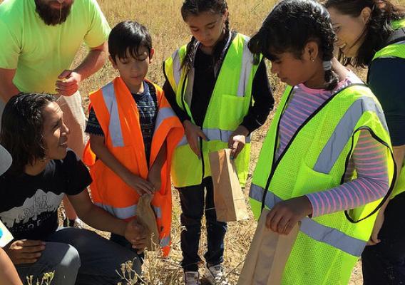 Metro Denver Nature Alliance partners collecting native seeds with Denver area fourth graders