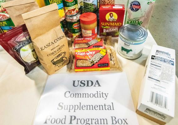 USDA Commodity Supplemental Food Program Box items