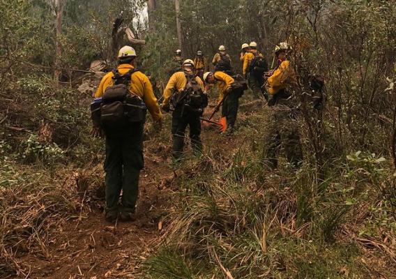 A Hot Shot crew from the Angeles National Forest working to aid in the Ovens 41 fire