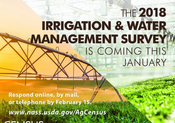 The 2018 Irrigation and Water Management Survey graphic