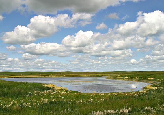 A Missouri Coteau wetland near Bismarck, N.D., in the heart of the Prairie Pothole Region. Credit: Jim Ringelman, Ducks Unlimited, used with permission.