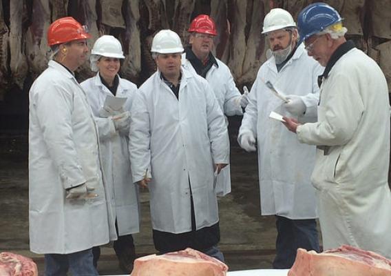 Meat graders discussing the meat in front of them