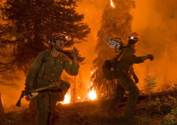 Forest Service firefighters work to contain a wildland fire. (U.S. Forest Service)