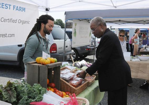 Administrator Rowe views the healthy offerings provided at a local farmers market.