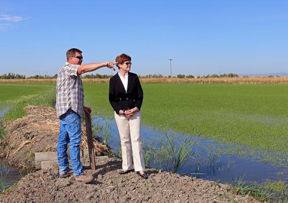 Agriculture Deputy Secretary Krysta Harden tours rice fields in the Sacramento Valley at the Yolo Bypass Wildlife Area on Jun. 24, 2014. Rice grower Mike DeWit has a cooperative arrangement to provide habitat for wildlife while growing rice. Photo courtesy California Rice Commission.