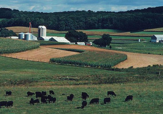 A new report issued today by USDA should help farmers and ranchers make informed decisions resulting in better soil and ultimately reduce greenhouse emissions.