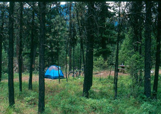 This campground is on the Cascade Ranger District of the Boise National Forest.