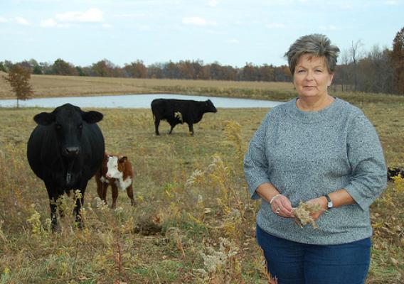 Beginning farmer Ann Whitehead on her 100 acres of agricultural land near Wellsville, Mo. NRCS photo.