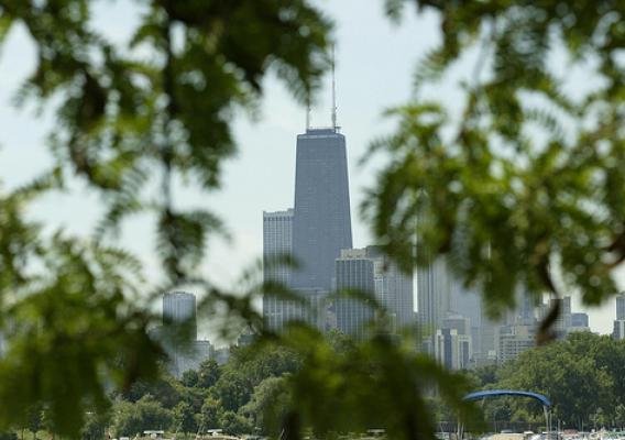 A recent study by U.S. Forest Service scientists estimates urban forests’ trees store an estimated 708 million tons of carbon. (U.S. Forest Service photo)