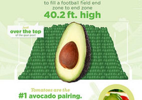 Hass Avocado Nutrition Facts Usda | Besto Blog