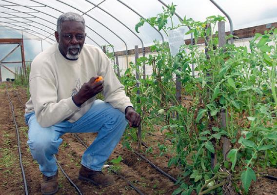 David Backus enjoys a tomato that he grew in his high tunnel. NRCS photo by Charlie Rahm.