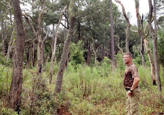Steve Barlow standing in the longleaf pine forest that he is restoring.