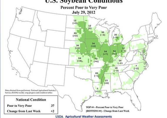 Agricultural Weather Assessment - U.S. Soybean Conditions as of July 29, 2012