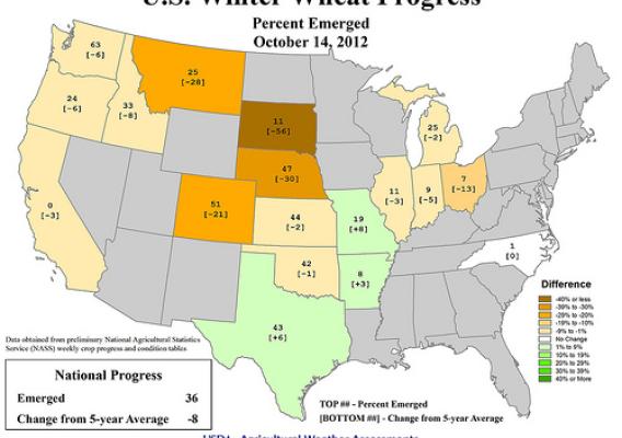 U.S. Winter Wheat Progress, October 14, 2012