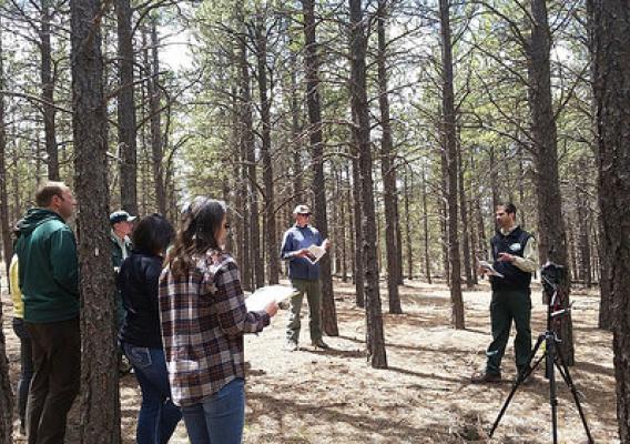 Research Forester Mike Battaglia leading a field tour at the Manitou Experimental Forest